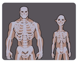 bone_incel