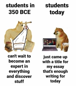 dogevscheems_students