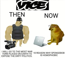 dogevscheems_vice