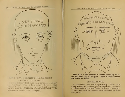 Ilustración Frenológica- (Vaught,1902)